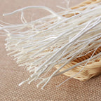 10pcs Aromatherapy Diffuser Sticks Wavy Rattan Reed Fragrance Diffuser Replacement Refill Sticks Air Freshener Room