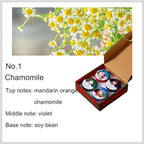 Festive Scented Candle Set