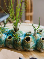 Zen Barnacle Pottery Vase | Wabi-Sabi Home Décor