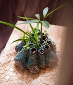 Zen Barnacle Pottery Vase | Wabi-Sabi Home Décor