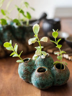 Zen Barnacle Pottery Vase | Wabi-Sabi Home Décor